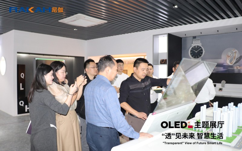 OLED主题展厅